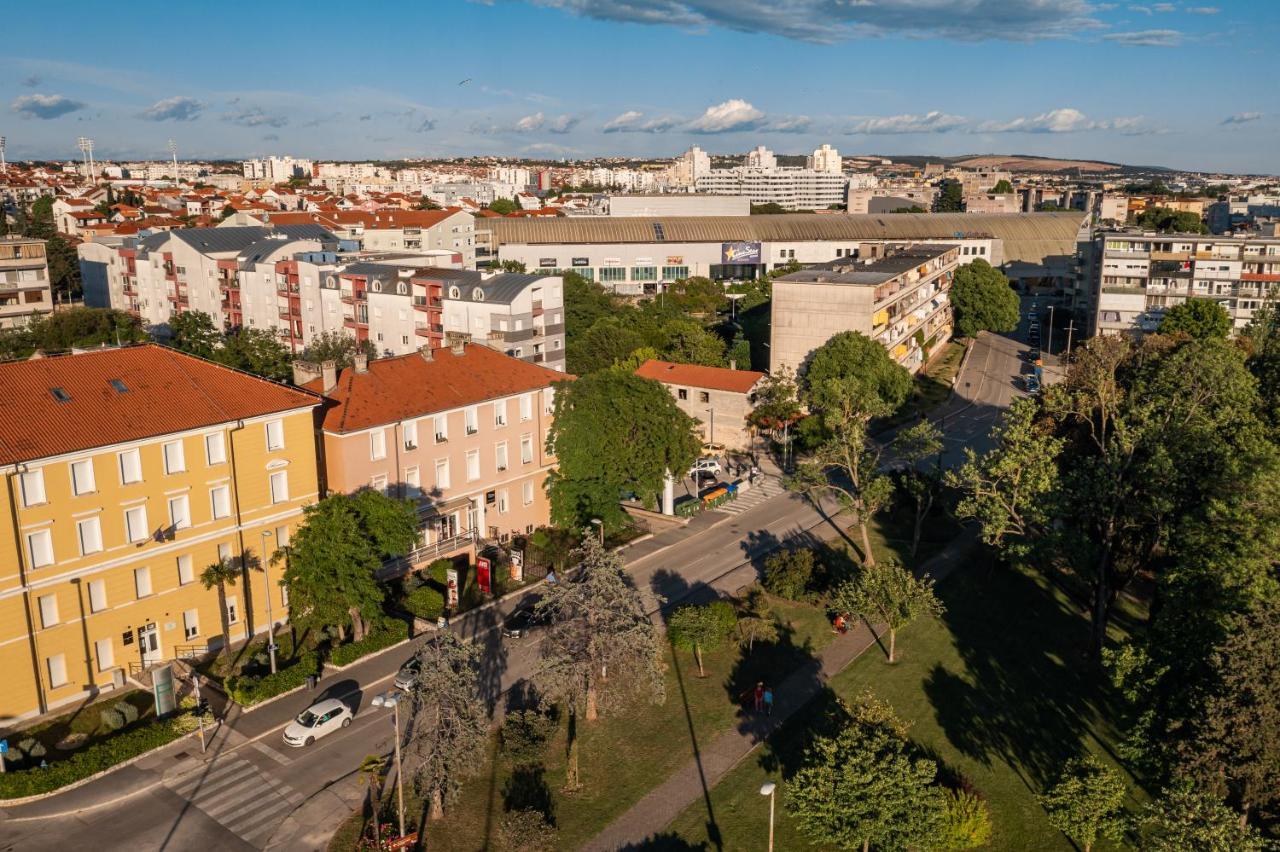 Goga Nova *