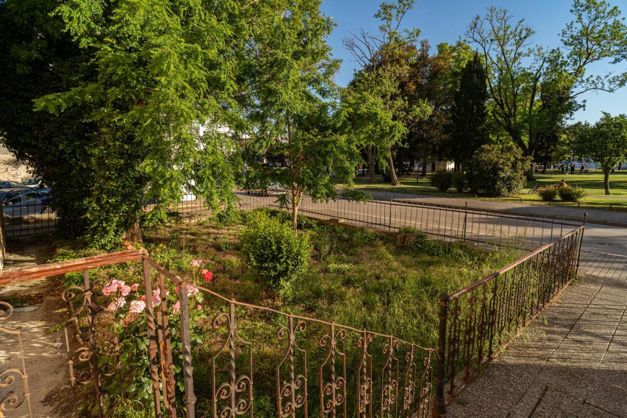 Apartment Goga Nova *